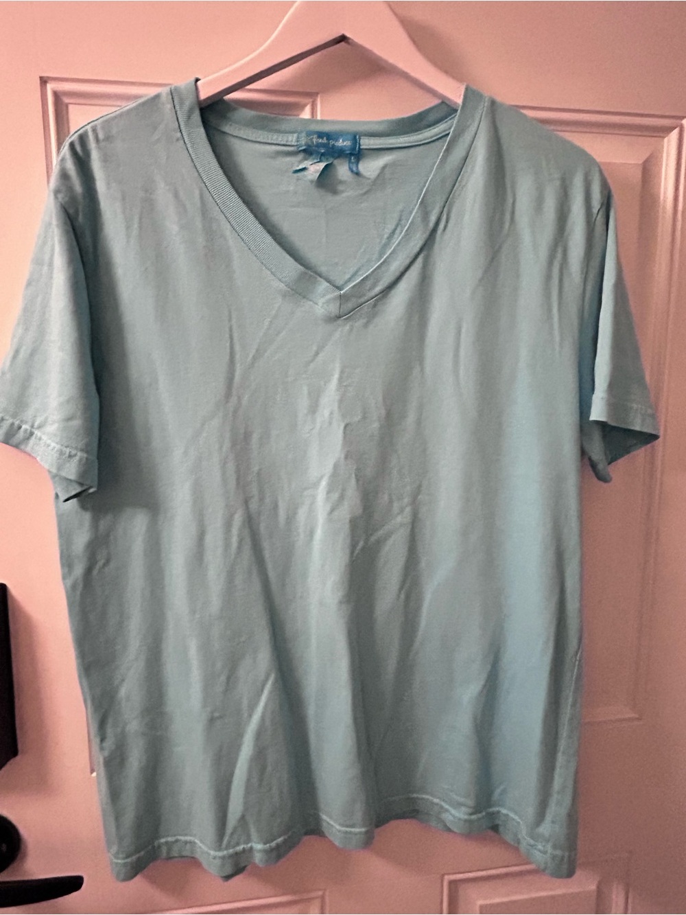 fresh produce Light Blue V-Neck Short Sleeve Tee